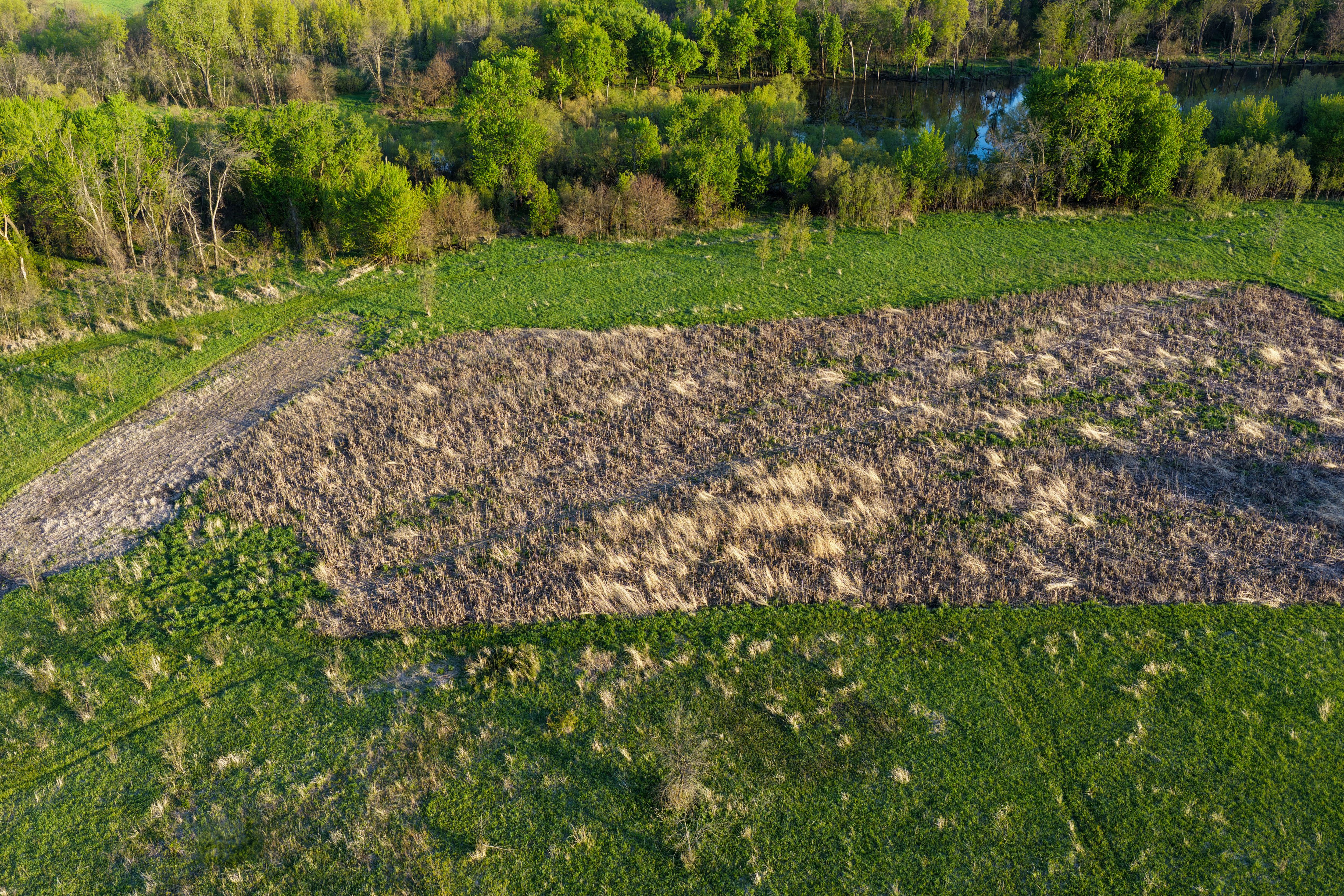 Listing Photo: Cedar County Whitetail Hutning Farm For Sale-17